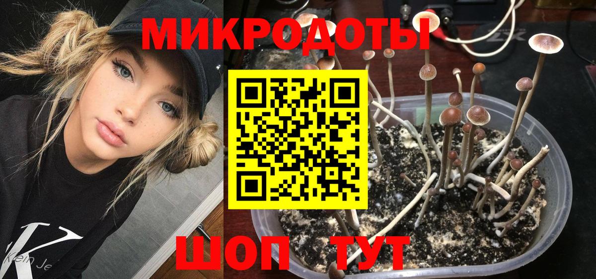 Псилоцибиновые грибы прущие грибы Минеральные Воды